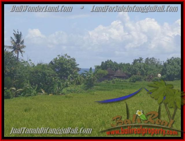 Property - TANAH JUAL MURAH CANGGU BALI 1.450 m2 view ...