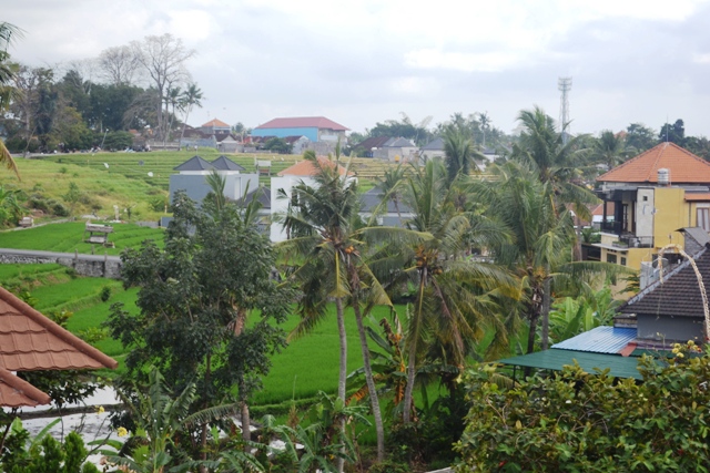 Property - Dijual Kos-Kosan view sawah siap huni didalung 