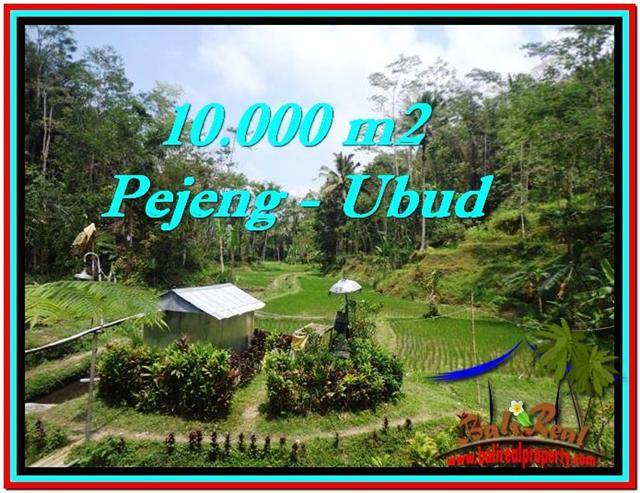 Property - JUAL TANAH MURAH di UBUD 100 Are View Sawah 