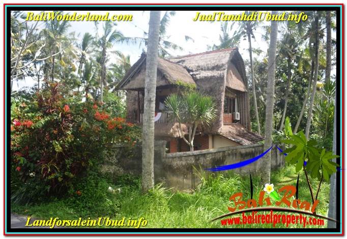 Property - TANAH MURAH DIJUAL di UBUD BALI Untuk INVESTASI 