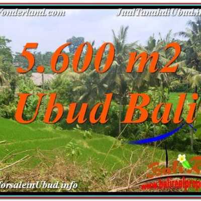 Rumah Jual Tanah murah di Bali  Property for sale in Bali Land