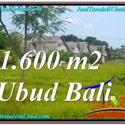 Rumah Jual Tanah murah di Bali  Property for sale in Bali 