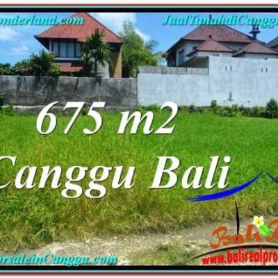 Property - TANAH MURAH DIJUAL di CANGGU BALI 3.500 m2 di 